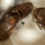 "Beetle among sandals" Gabriele - 2012
