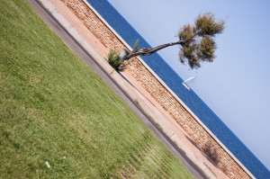 Sardegna, Gabriele (2012)